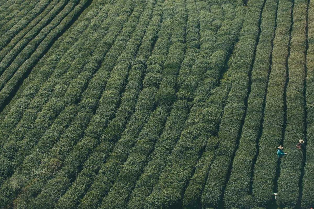 5 Space-Saving Strategies for Tiny Apartment Dwellers: The Best Adjustable Tables for Small Storage Adjustable table with storage drawers and shelves