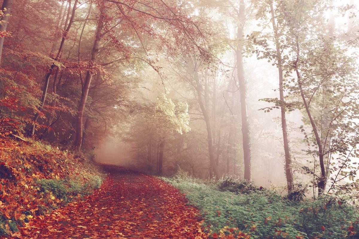 A foldable bed in a compact position, suitable for spinal health