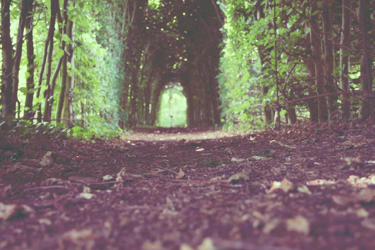 Everything About the Best Storage Rack for Slouching: Achieving Better Posture and Simplifying Your Space Person standing in front of a storage rack with adjustable shelving, laptop, and minimalist home office decor