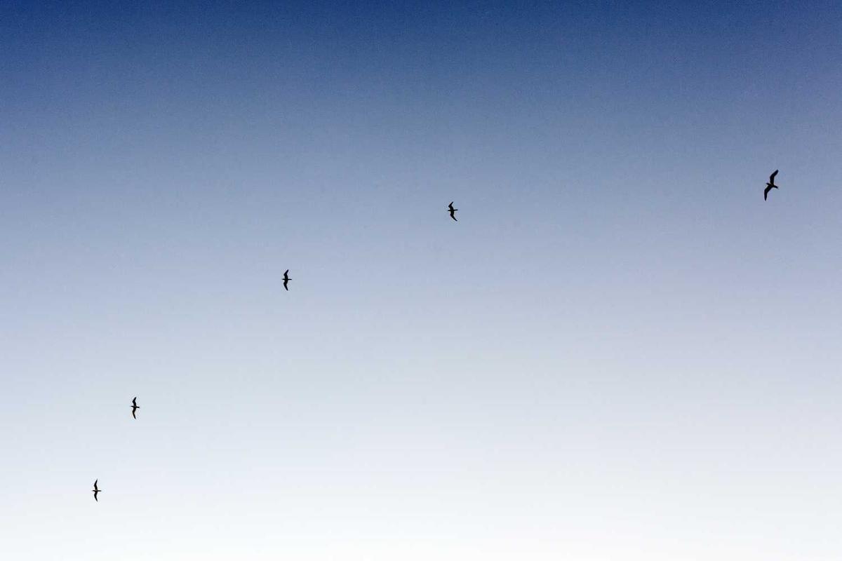 Minimalist storage shelf in a cramped living room