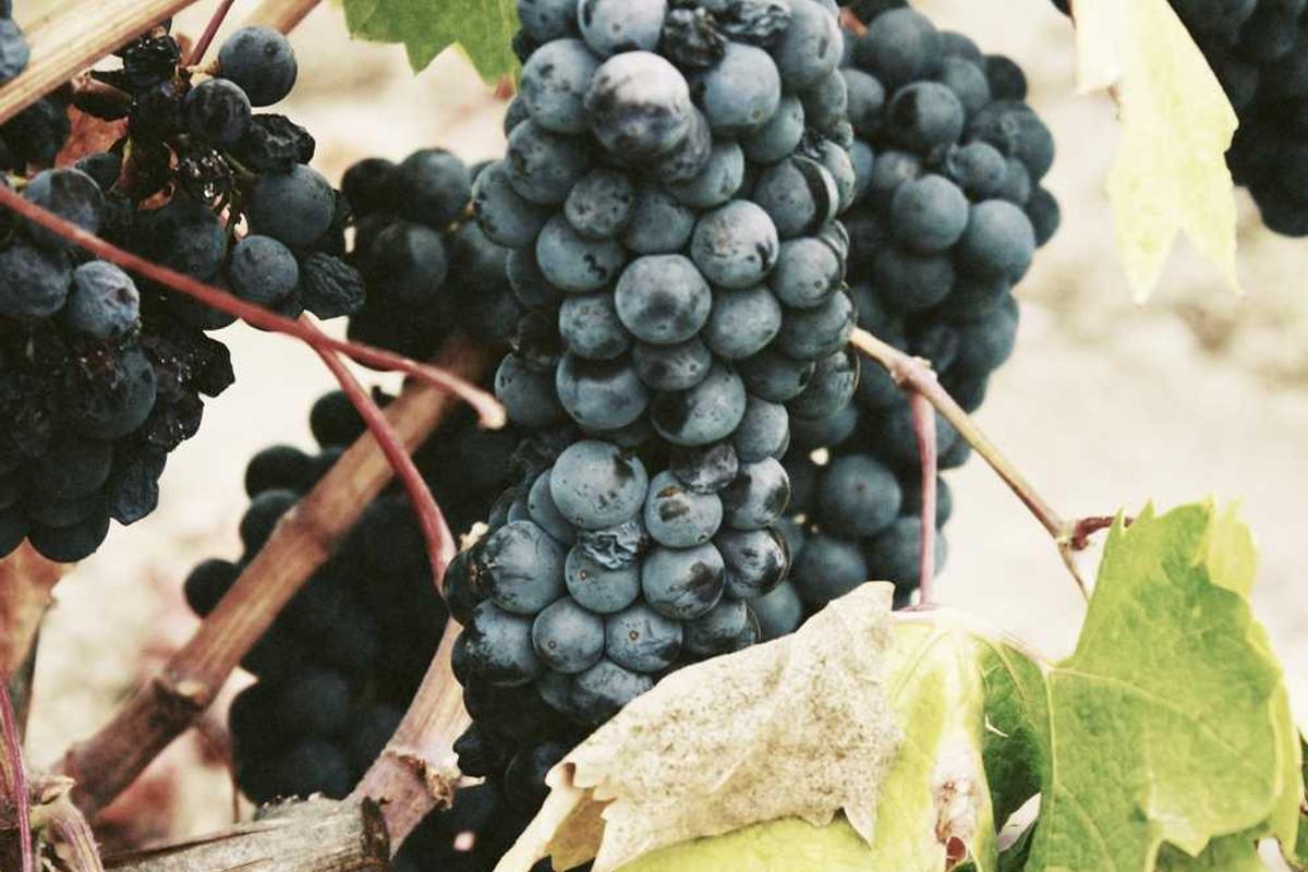 Small living room with a coffee table in Bandra