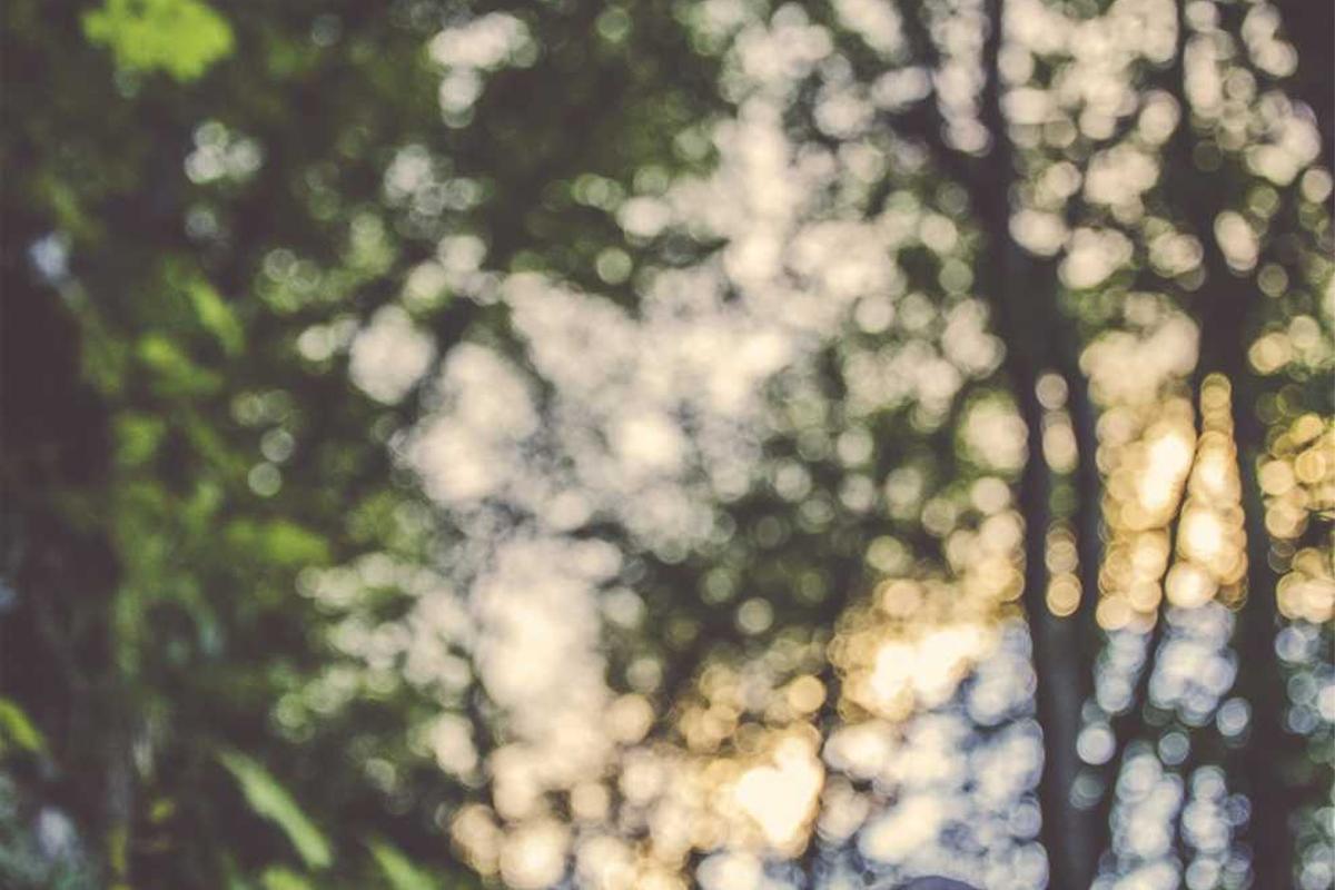 Business professional at an ergonomic desk in a Mumbai office with adjustable height