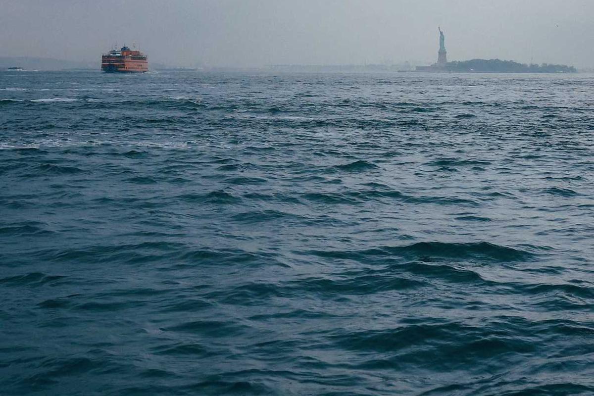 Modern plant stand in a Bangalore living room with greenery and pots