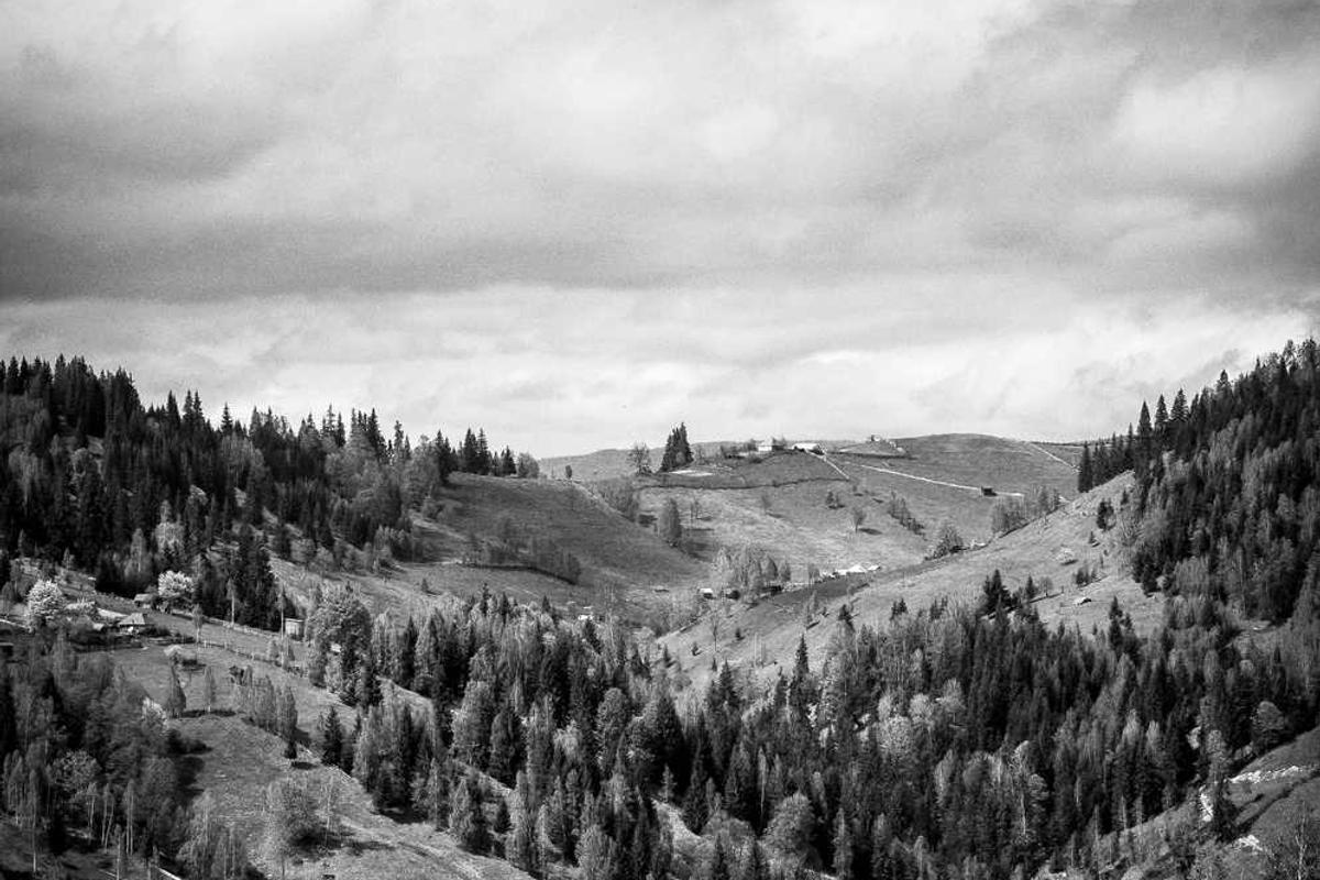 Standing desk in a home office with adjustable height